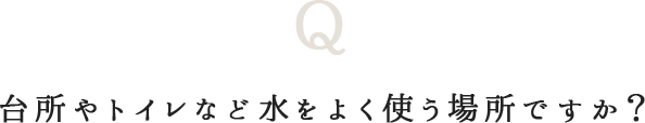 台所やトイレなど水をよく使う場所ですか？