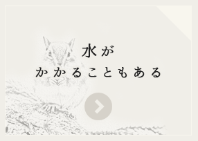 水がかかることもある